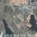 함평군 신광면 유천리 답1547제곱,매2천6백,전남토지매매,함평토지매매 이미지