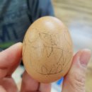 봉남어린이집 이미지