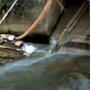 프레시준 이미지