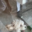 김고은그루밍# 네이버블로그