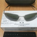 위스커1