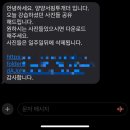 [양양]양양서핑 투개더_양양서핑강습(초급) 후기