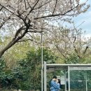 신창세탁소 이미지