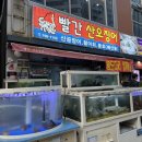 빨간산오징어 이미지