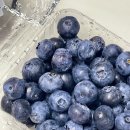 서울이원치과의원 이미지