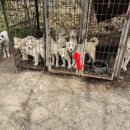 신디농장 이미지