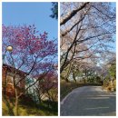 [경남 합천] 가야산 등산코스~ 만물상코스 상왕봉 칠불봉 용기골 탐방로 첫도전