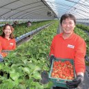 우직농장 이미지