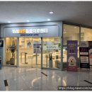 더바른동물병원 네이버블로그