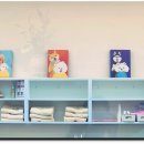 하이멍 애견미용 이미지