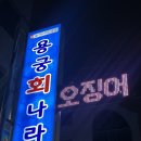 용궁회나라