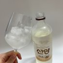 선양 오크 소주 가격 도수 내돈내산후기