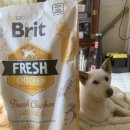 냥이멍이네 이미지