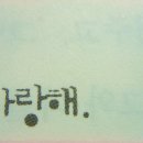 둠바 이미지