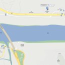 청벽거북 이미지