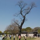 서산꽃게장 이미지