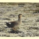 부석우체국 이미지