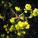 설악농장 이미지