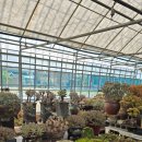 부영다육농장 이미지