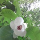 마음에고향 이미지