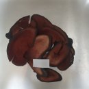 정온한의원 이미지