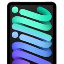 Apple tree PC카페 | Apple 2024 iPad mini A17 Pro 솔직 사용 후기