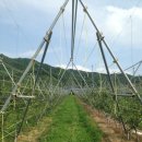 지성농장 이미지