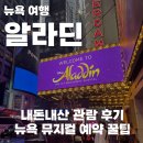 뉴욕 | 뉴욕 뮤지컬 알라딘 내돈내산 관람 후기 (예약 방법, 픽패스 이용 후기)