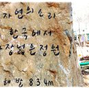 자연의소리정원 Daum카페