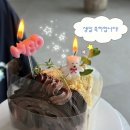 케익하우스앨리카페 | [대구/삼덕동] "스펠링하우스"카페 케이크 내돈내산 후기