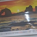 지리산토종꺼먹돼지