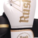 정성호 복싱 이미지