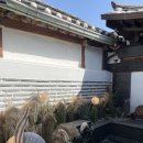 스테이 어플로트