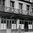 엑스피아 이미지