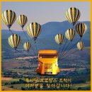옐로우트럭