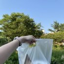 계란빵야 디저트카페 이미지