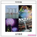 호텔더베이21 | 이벤트 워터비 리버 크루즈 마리나 베이 샌즈 가든스 바이 더 베이 클라우드 포레스트 아바타 슈퍼트리...