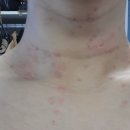 더샤인한스의원 이미지