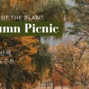 플랜티스트