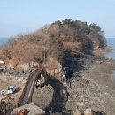 보은용사촌.펜션단지 이미지