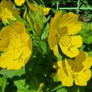 보납산 입구 화장실 이미지