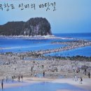 용두-무창포 도로변 화장실 | 서해랑길 보령시 59코스- 2
