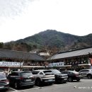 꼬꼬마식당 | 하동 쌍계사 산채더덕구이정식 맛집 청운식당 내돈 후기