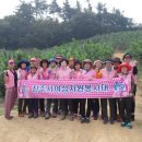 정촌농장 이미지