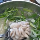 숲을사랑한바다민박 | 속시원한 대구탕 해장 후기 | 해운대 달맞이고개 대신...최고! 일광 바다 뷰 대구탕 + 숲 카페 디저트...