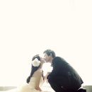 청혼연정결혼정보 이미지