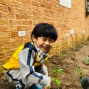 강남새싹유치원 이미지