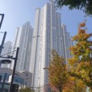 이기웅정형외과의원 이미지