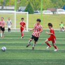 충주중앙초 이미지