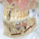 햇살치과의원 이미지